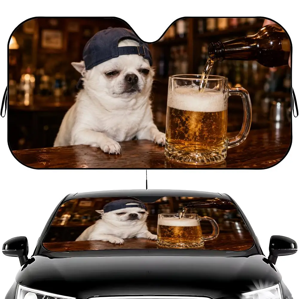 Outdoor Adventure Uva - animal Hood-wearing Chihuahua Outdoor Adventure Sun