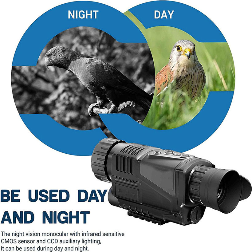 Low Light Night Vision Hunting - Outdoor Adventure Video ulasan dan harga