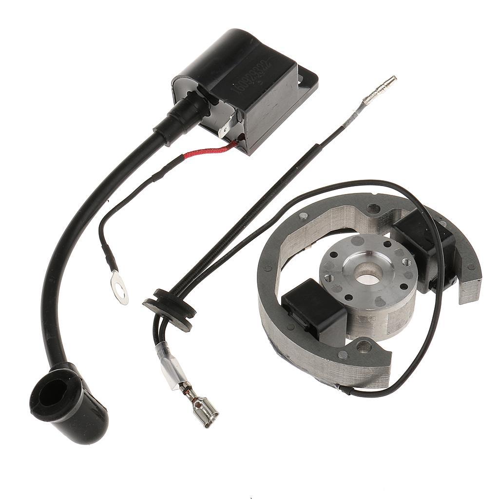 Magneto Stator Rotor Ignition  - Outdoor Adventure Kit ulasan dan harga